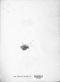 Image Associated With the Occurence